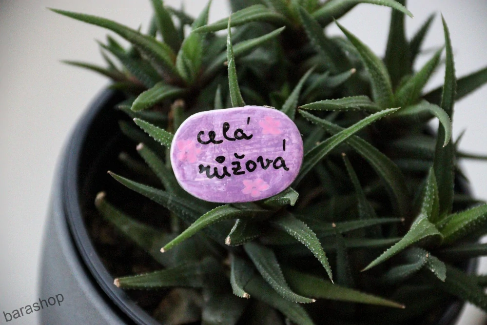 Brož "celá růžová"