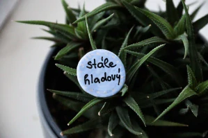 Brož "stále hladový"