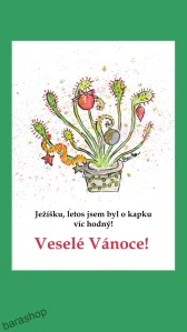 Vánoční přání Letos jsem byl hodný!